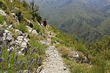 Hiking in the Var : Circuit du Serse