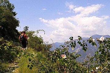 Hiking in the Var : Circuit du Serse