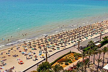 Perfect picnics spots in Palma 2017
