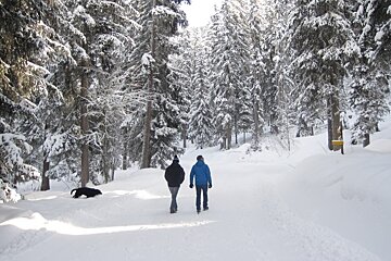 Snow Report: 27th January 2014