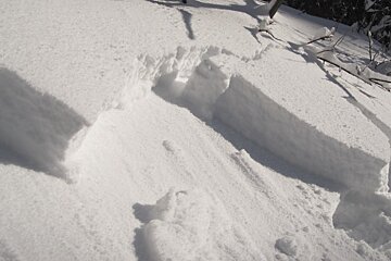 Snow Report: 27th January 2014