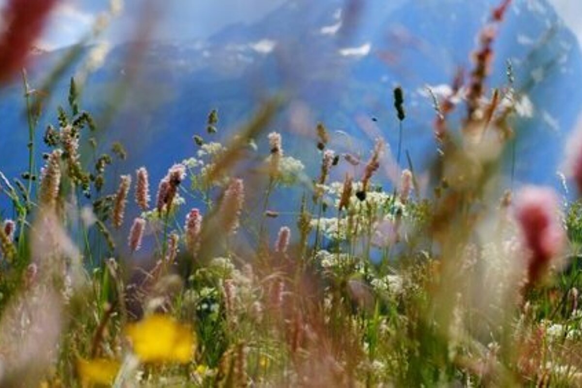 Chamonix Photo Walk Review photo walks