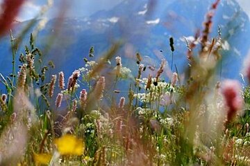 Chamonix Photo Walk Review photo walks