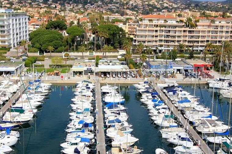 Port Camille Rayon