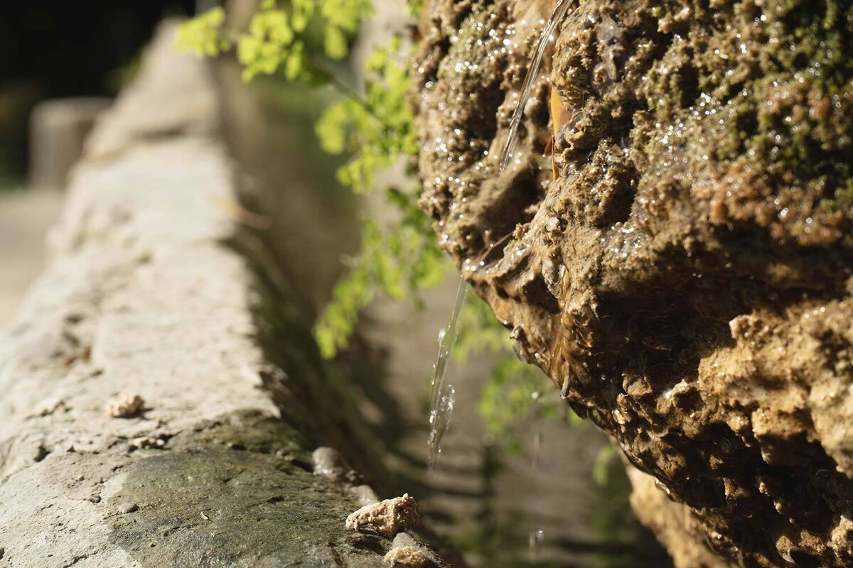 A close up of a rock with water coming out of it