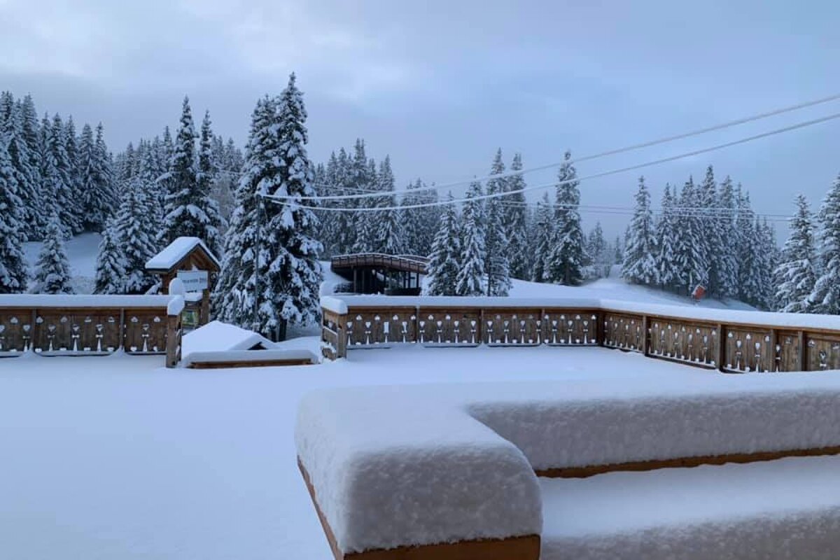 A snow covered deck with trees in the background
