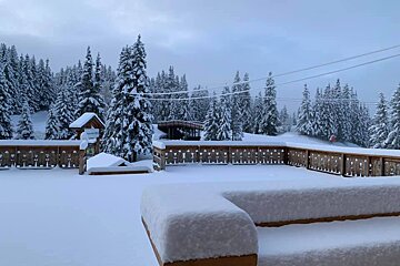 A snow covered deck with trees in the background
