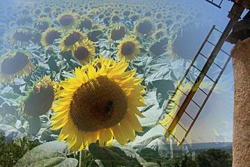Ventoux Decouvertes, Avignon