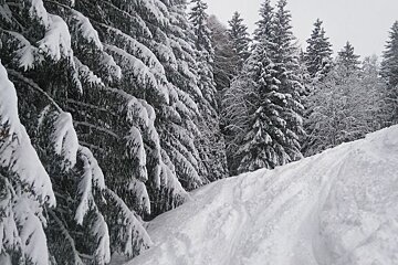 Skiing in Les Houches