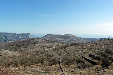 A view of a valley with mountains in the background