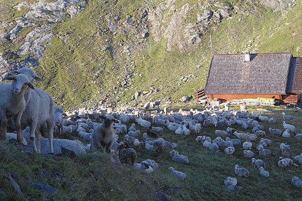 Refuge de Turia, Villaroger
