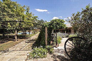 A sunny, vine-covered path leads to a house and pool, framed by rustic wagon wheels, lush greenery, and lavender under a blue sky.