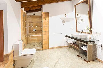 A bathroom with a toilet a sink and a walk in shower