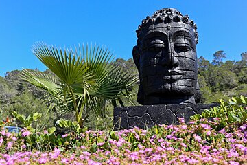 Buddha at cala jondal ibiza