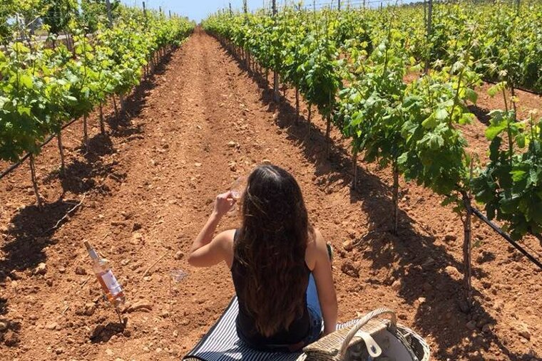 Picturesque picnic spots in Mallorca 2018