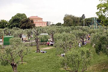 Cimiez Arena and Gardens, Nice