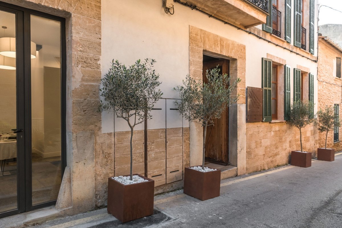 A quaint street scene featuring old stone buildings, green window shutters, and several potted olive trees in rusty planters. A modern glass door is on the left.