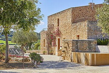 A sunlit stone building adorned with pink bougainvillea, set amidst trees, cacti, and a gravel courtyard, under a clear blue sky.