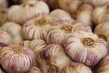Garlic Festival, Piolenc