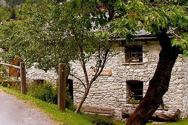 a stone building set behind trees