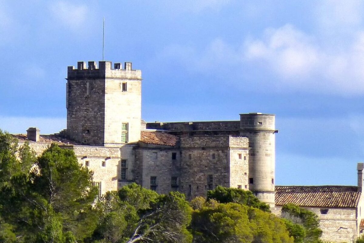 a castle in malaucene