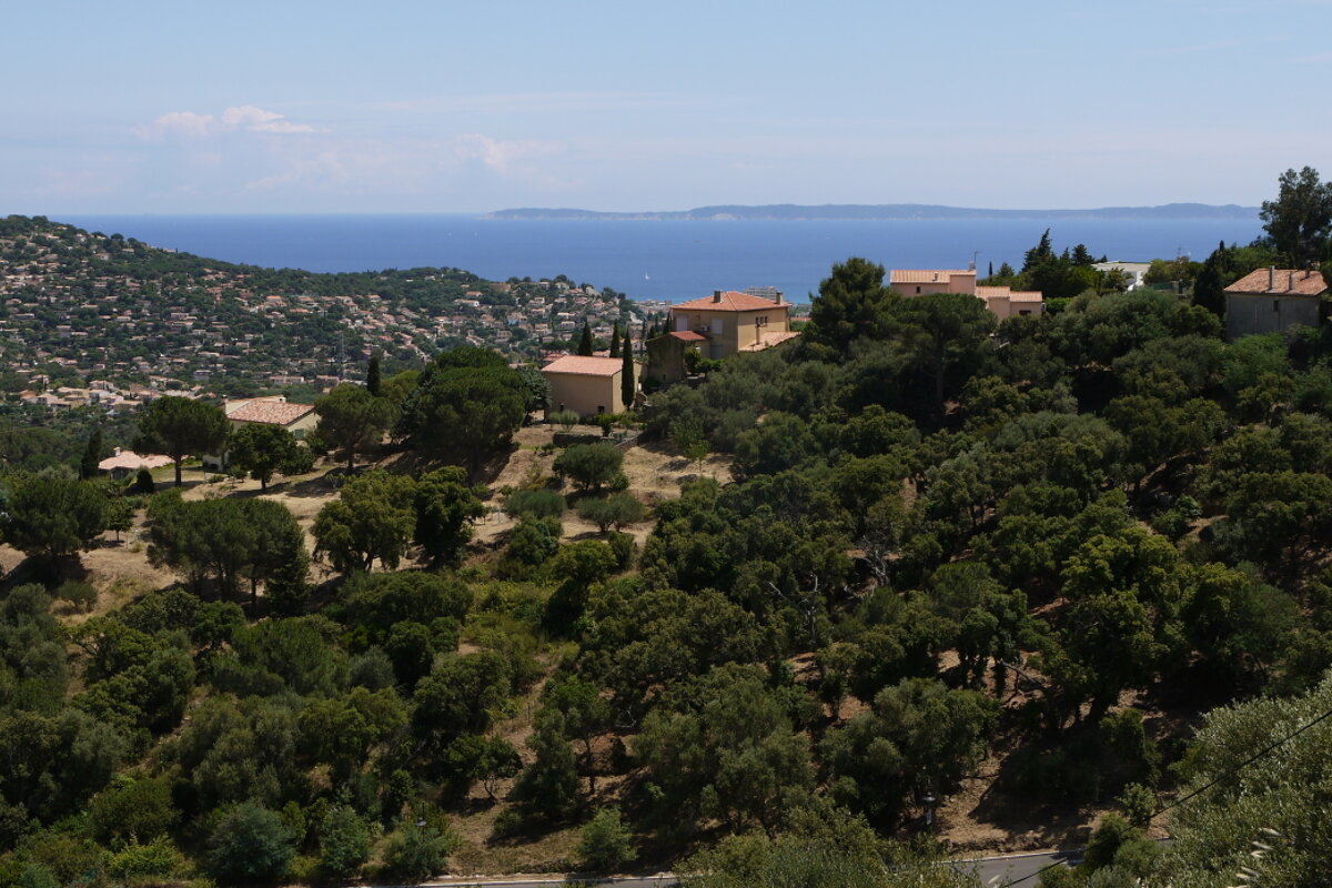 image of forests and the coast