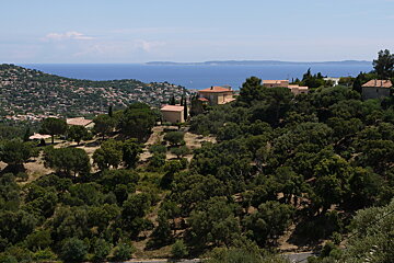 image of forests and the coast