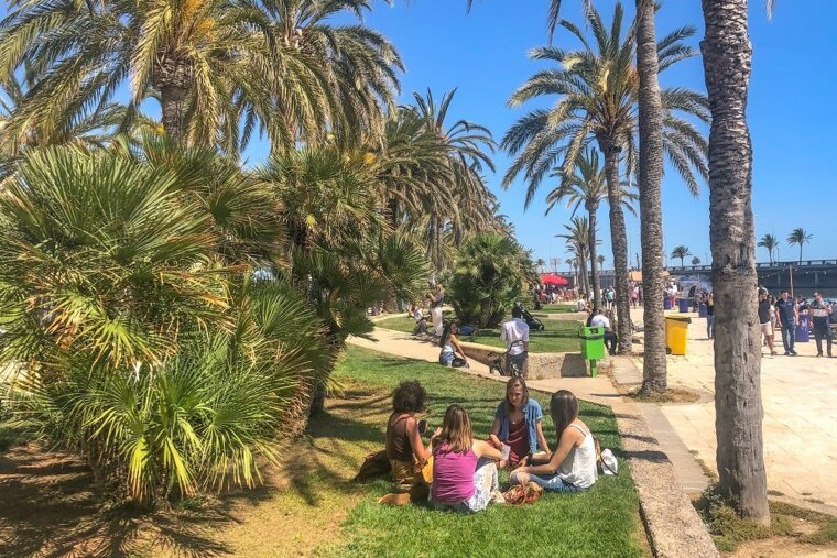 Van Van Street Food Festival 2019 Review