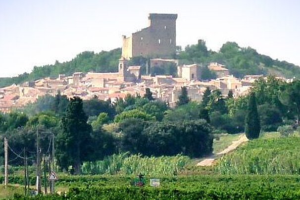 Vignobles Mayard Vineyard, Chateauneuf du Pape