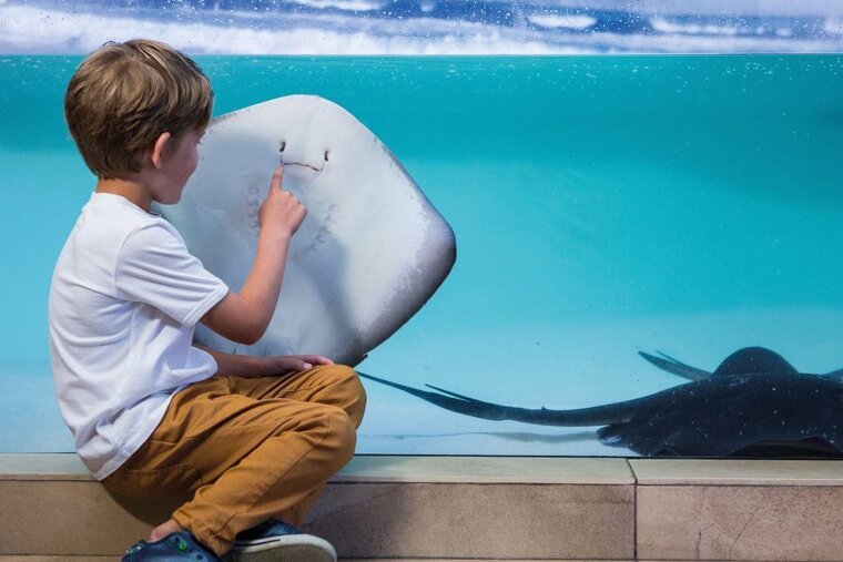 Family fun in Palma summer 2019