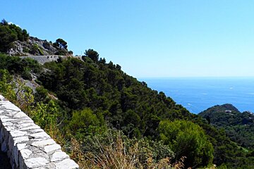 a view of the sea from a cycling route