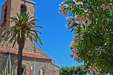 A church with a palm tree in front of it