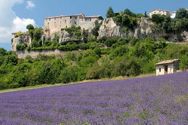 Lavender fields in front of the town of Sault