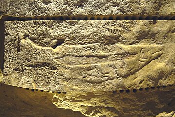 salmon engraving Abri du Poisson, Les Eyzies-de-Tayac