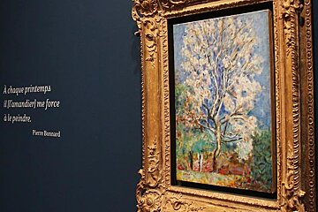 Musee Bonnard, Le Cannet