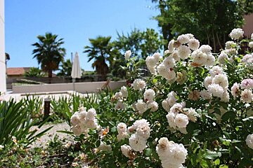 Musee Bonnard, Le Cannet