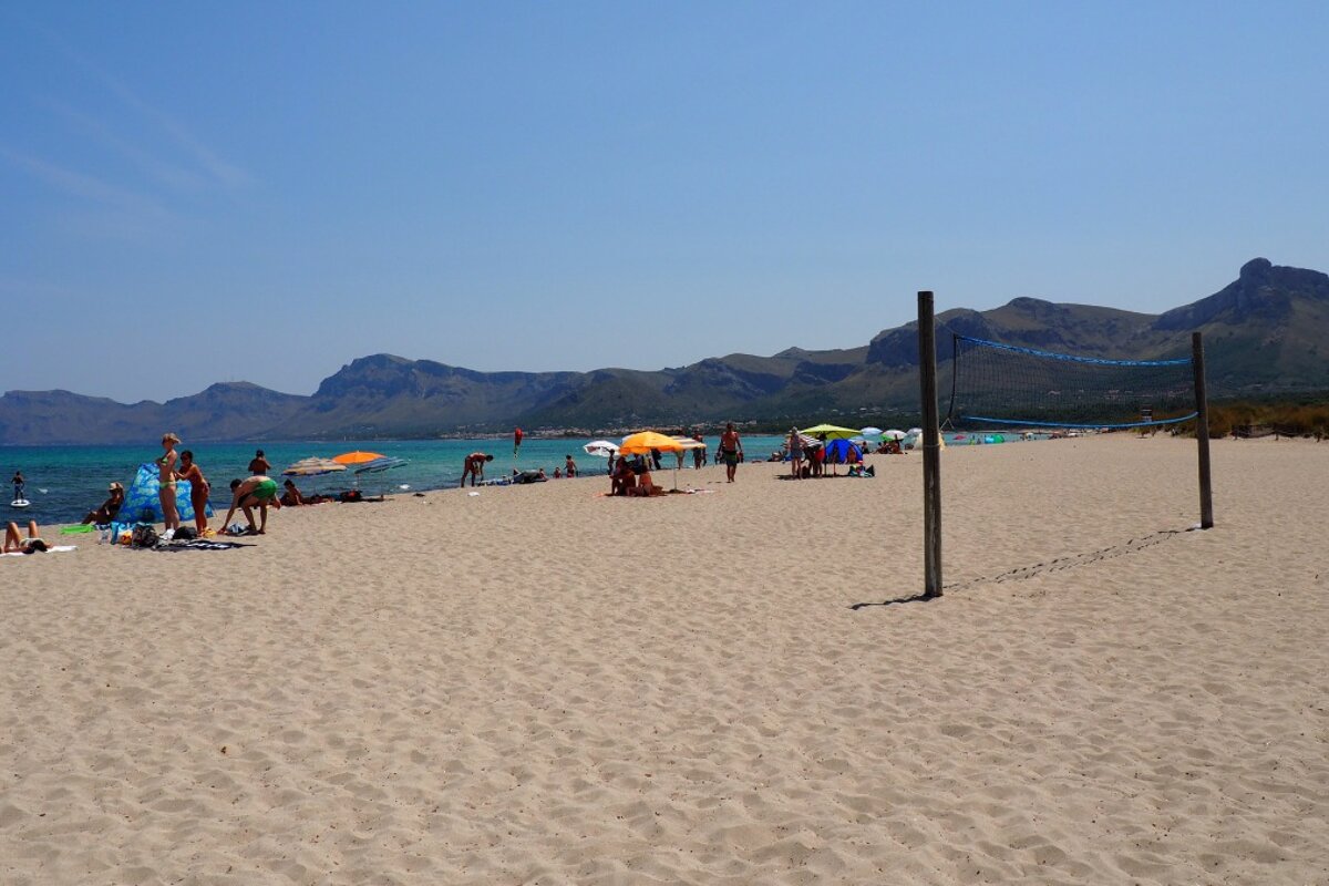 a beach volley ball net