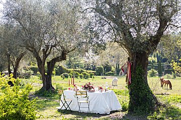 A table in a field with a horse in the background