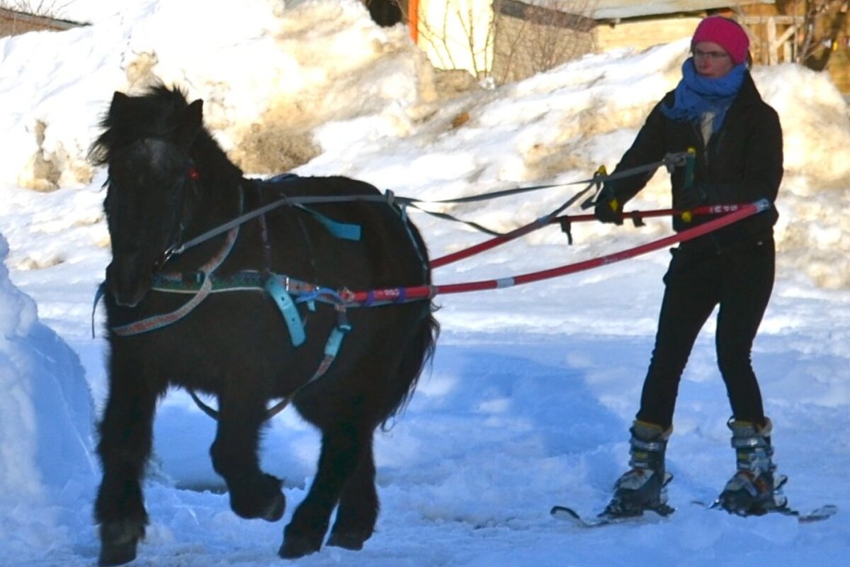Ski Joering La Plagne, Montalbert