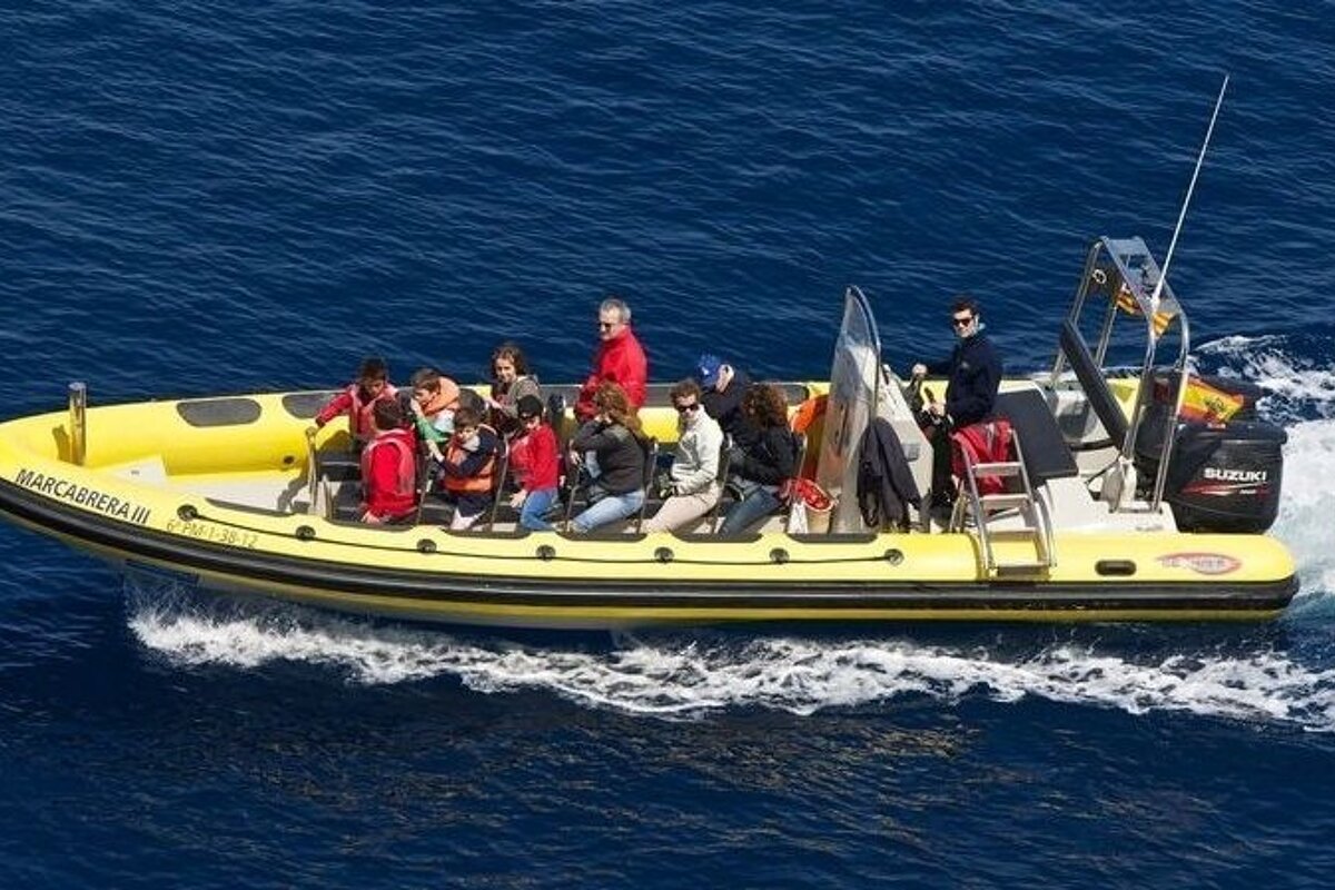 12 Person Motor Boat (RIB), Mallorca