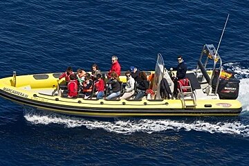 12 Person Motor Boat (RIB), Mallorca