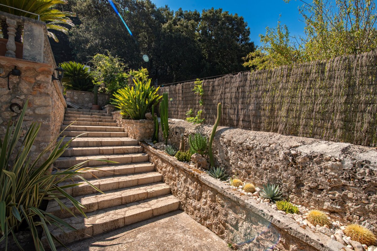 Stone stairs leading up to a stone wall surrounded by plants