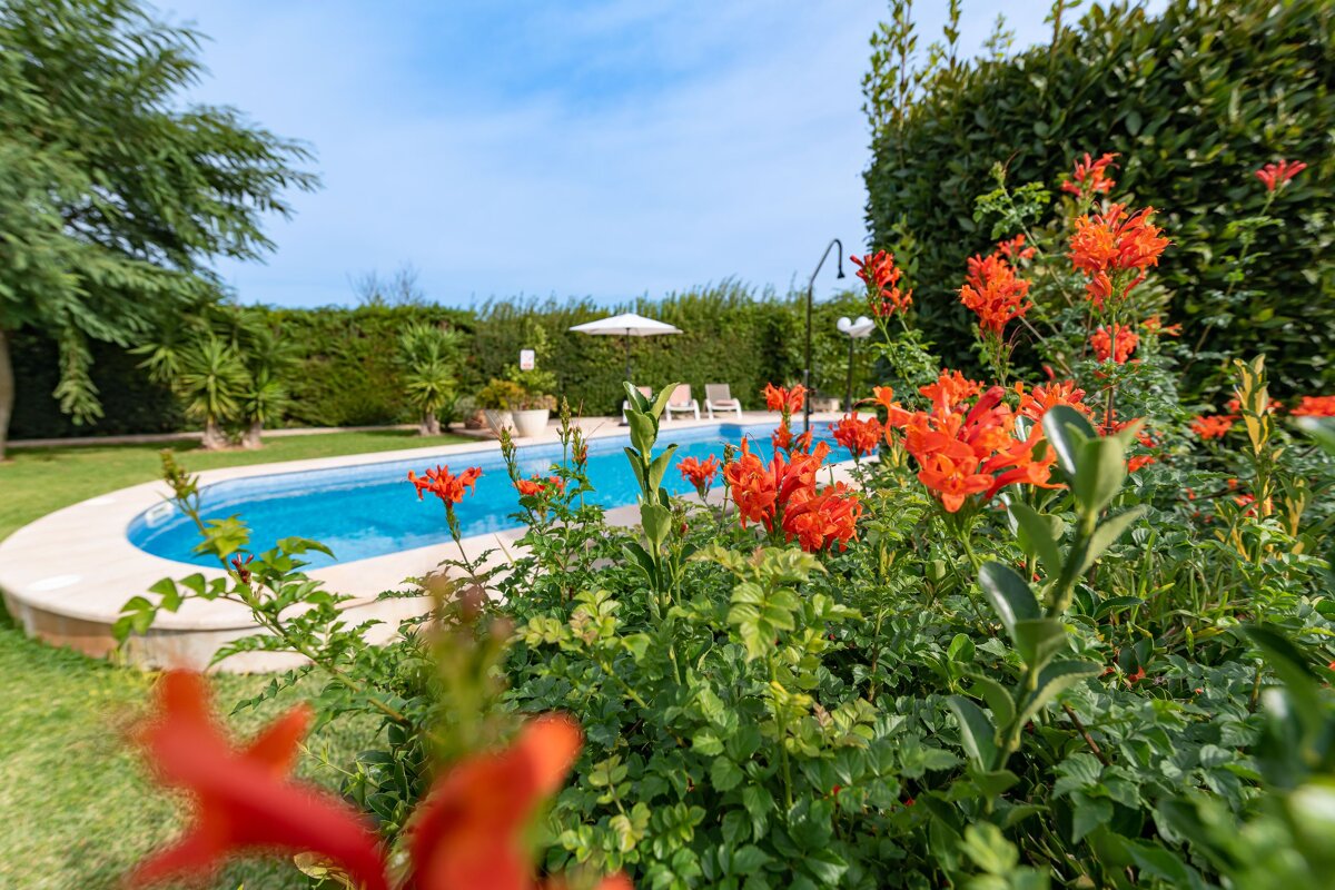 A swimming pool surrounded by flowers and a white umbrella