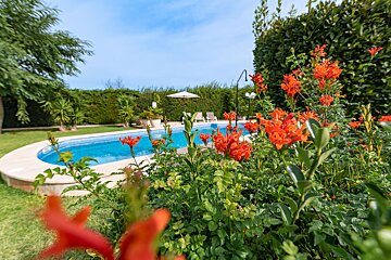 A swimming pool surrounded by flowers and a white umbrella