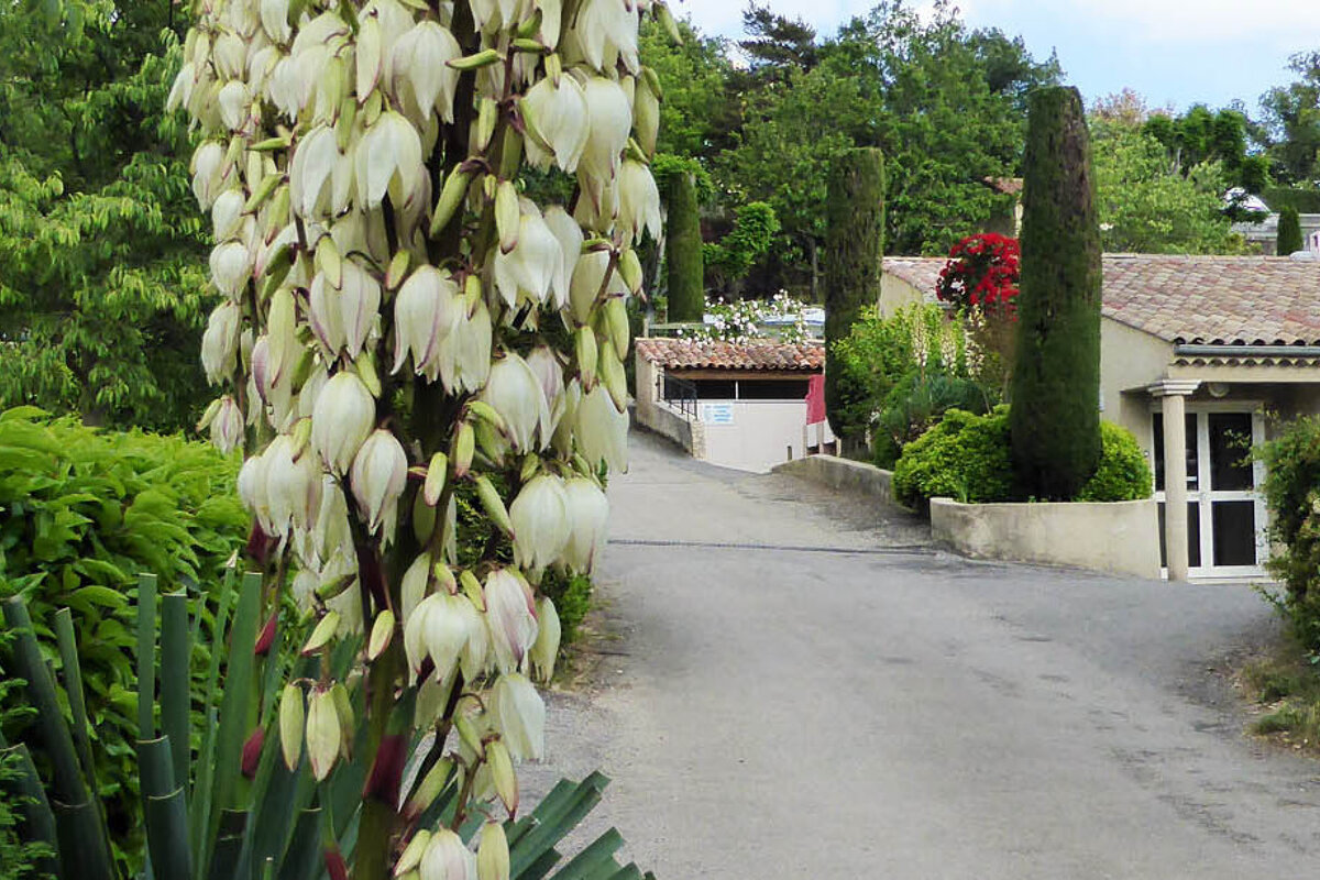 La Source Campsite, Les Salles sur Verdon area