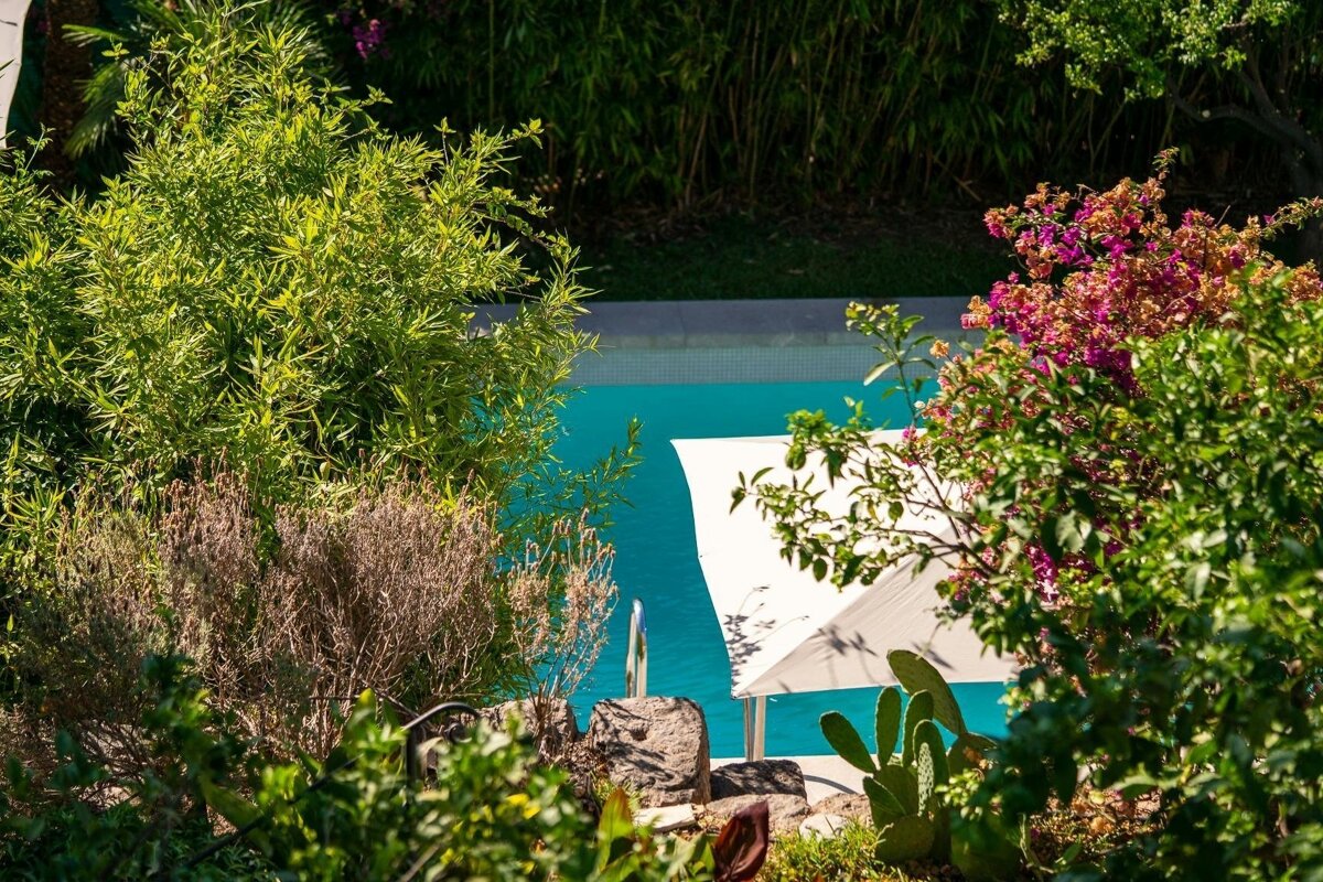 Lush greenery and colorful flowers frame a bright blue swimming pool, with a white umbrella and steps partially visible.