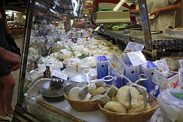 lots of cheese on display in a counter in avignon