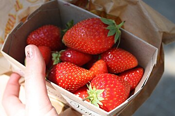 a punnet of strawberries in avignon market
