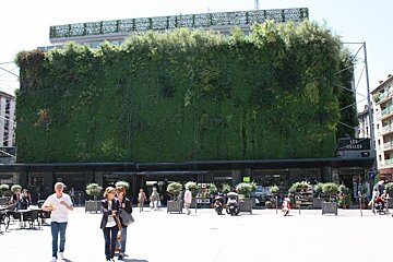 a wall planted with green plants in avignon provence