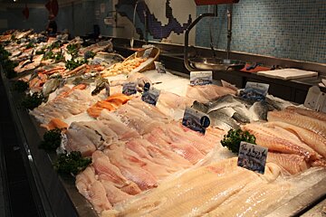 a market fish counter in avignon